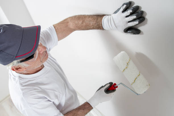 Best Mold Remediation for Healthcare Facilities  in Manana, HI