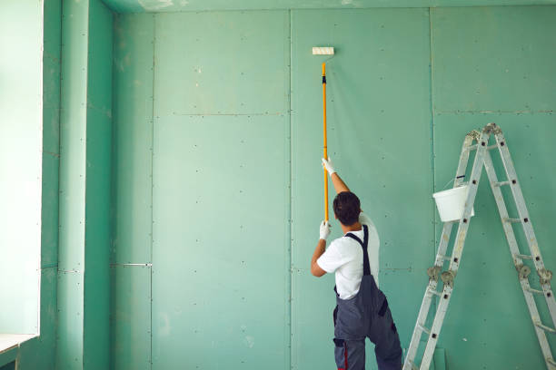 Best Real Estate Mold Inspection  in Manana, HI