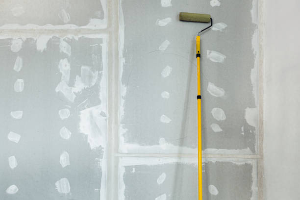 Best Commercial Mold Inspection  in Manana, HI