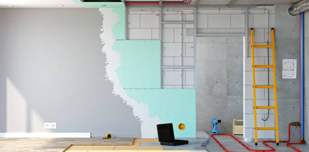 Best Residential Mold Inspection & Testing  in Manana, HI