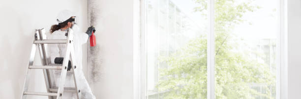 Best Biohazard Mold Removal  in Manana, HI