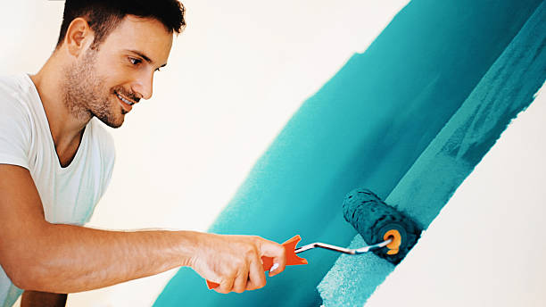 Best Mold Prevention Services  in Manana, HI