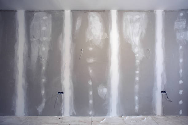 Best Post-Construction Mold Inspection  in Manana, HI